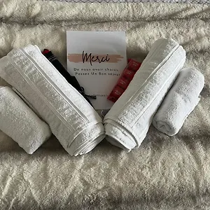 Luxueux Au Coeur De , Lille France
